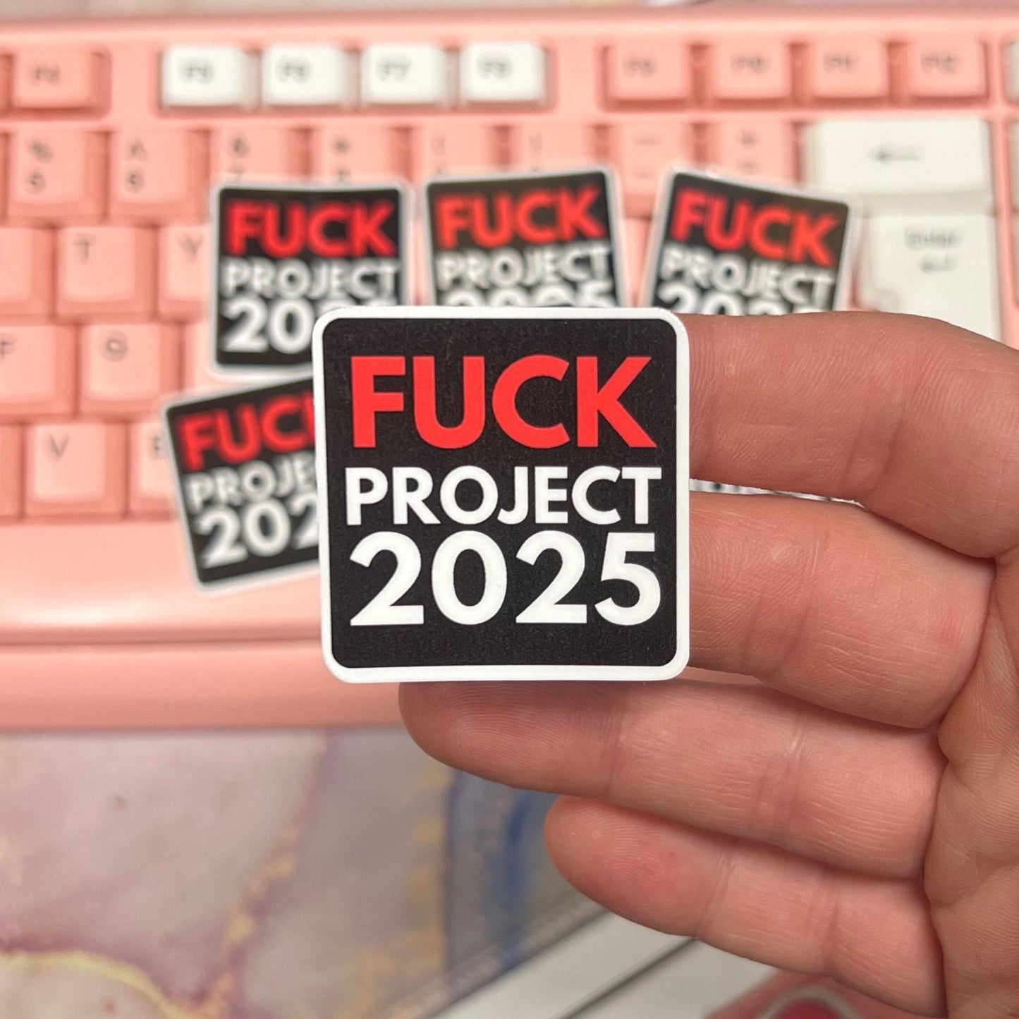 Fuck Project 2025 25/50pc Sticker Pack, 1.5 Inch Glossy Decal, We Did That, Anti Trump Stickers, Anti Fascist, Anti Racist Sticker Pack, FDT
