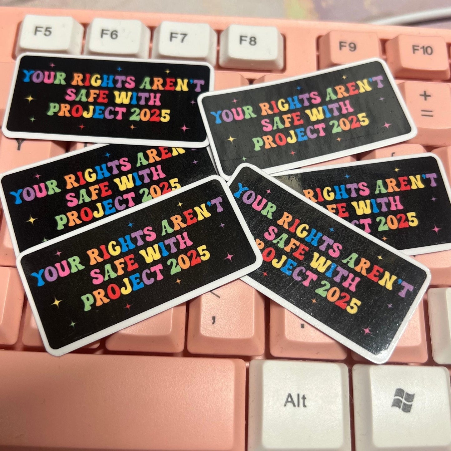 No Rights Project 2025 25/50pc Sticker Pack, 2 Inch Glossy Decal, We Did That, Anti Trump Stickers, Anti Fascist, Anti Racist LGBTQ+ FDT