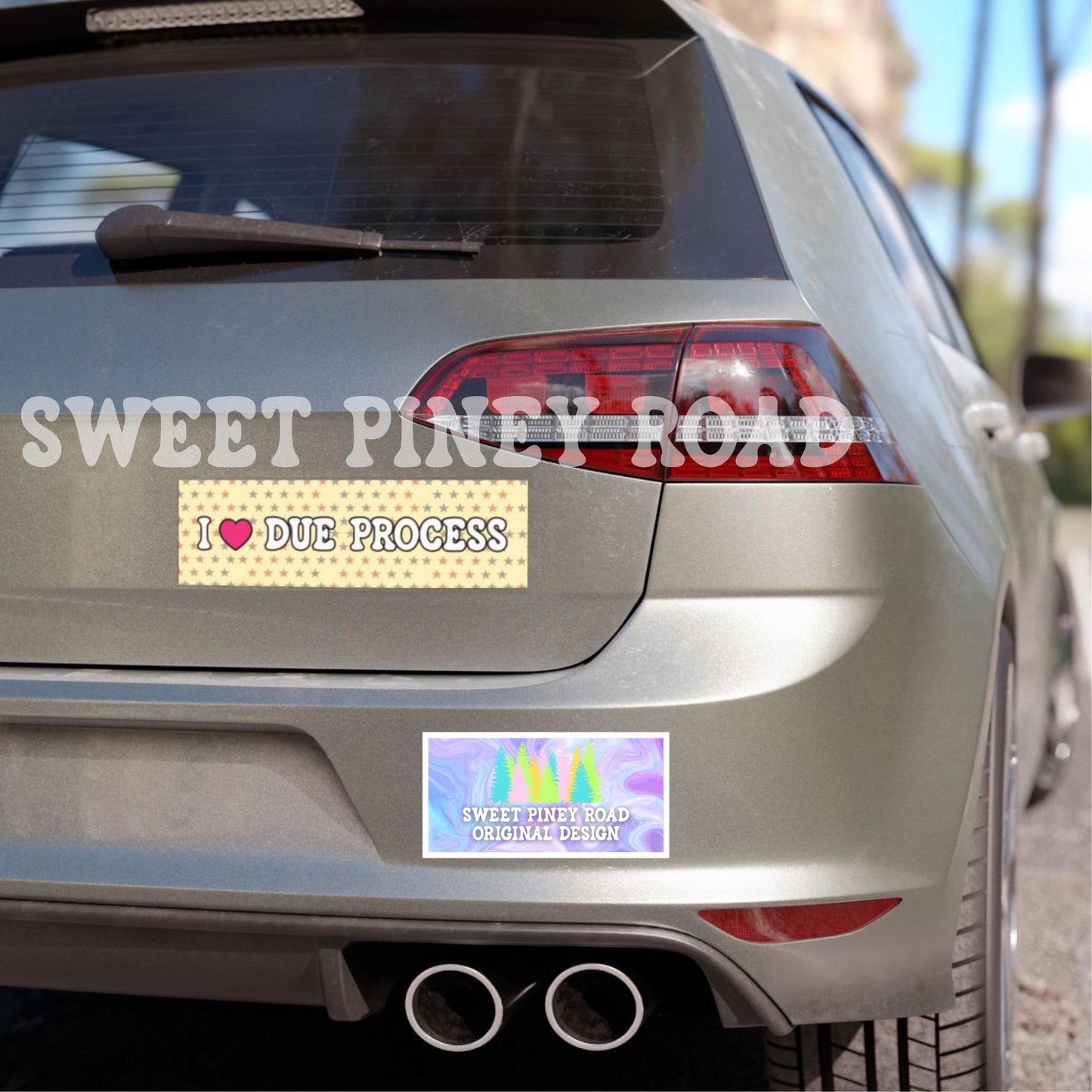 I Love Due Process Bumper Sticker/Car Magnet, ACAB Abolish ICE, Pro Immigrants Decal, Deport Fascists, Anti Trump Protest Gift, Resist FDT