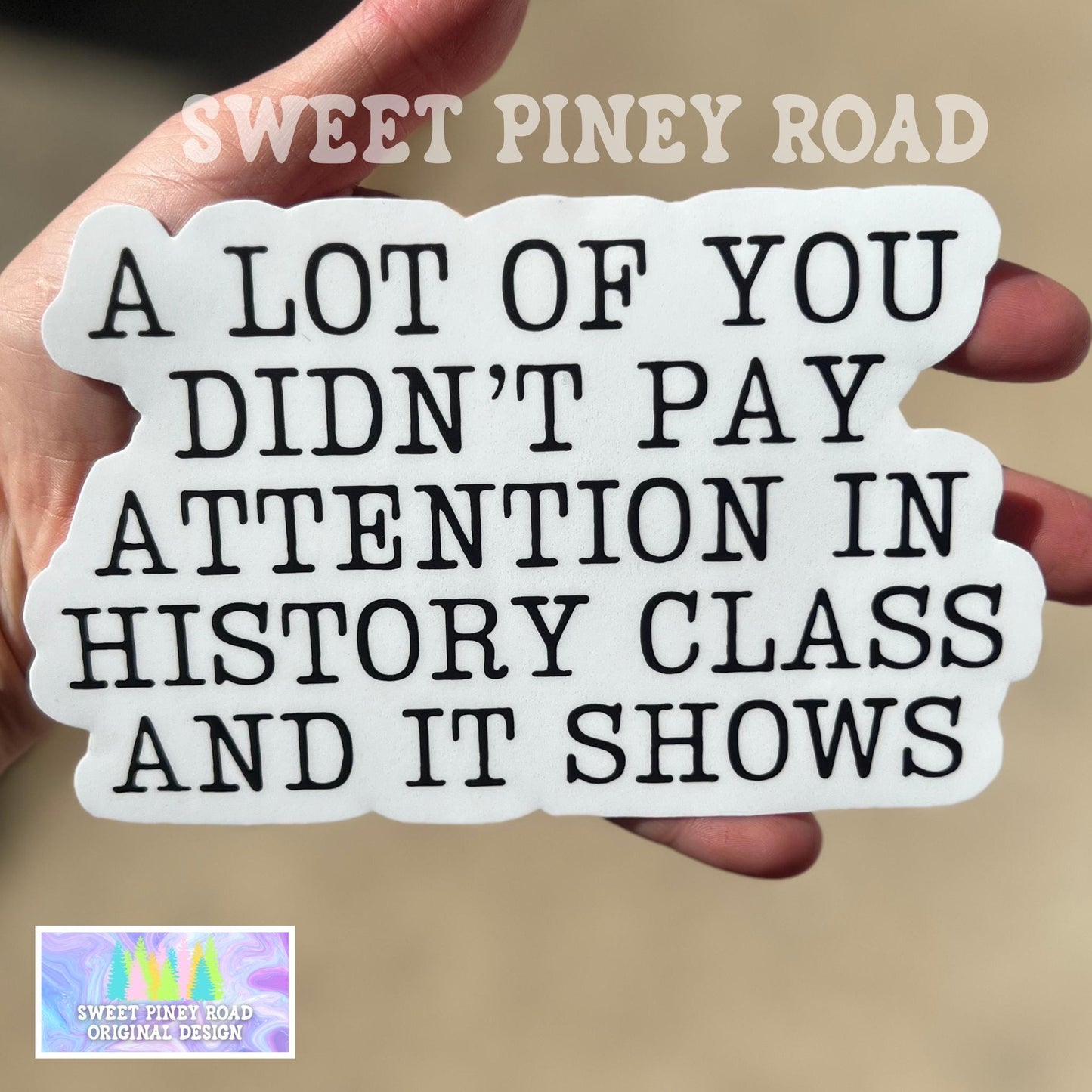 Didn't Pay Attention In History Class Car Decal, Anti MAGA Bumper Sticker, Progressive Liberal Feminist, Political Leftist Pro-Democracy