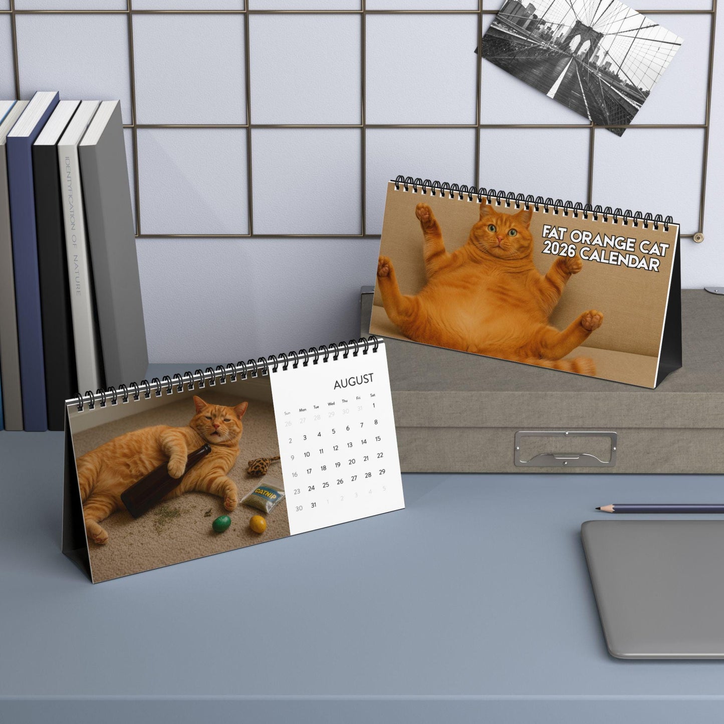 Orange Cat 2026 Desktop Calendar, Funny Cat Mom Gift, Hilarious Witty Kitty Calendar Christmas Gift, Unhinged Adult Humor Kitten Lover Decor