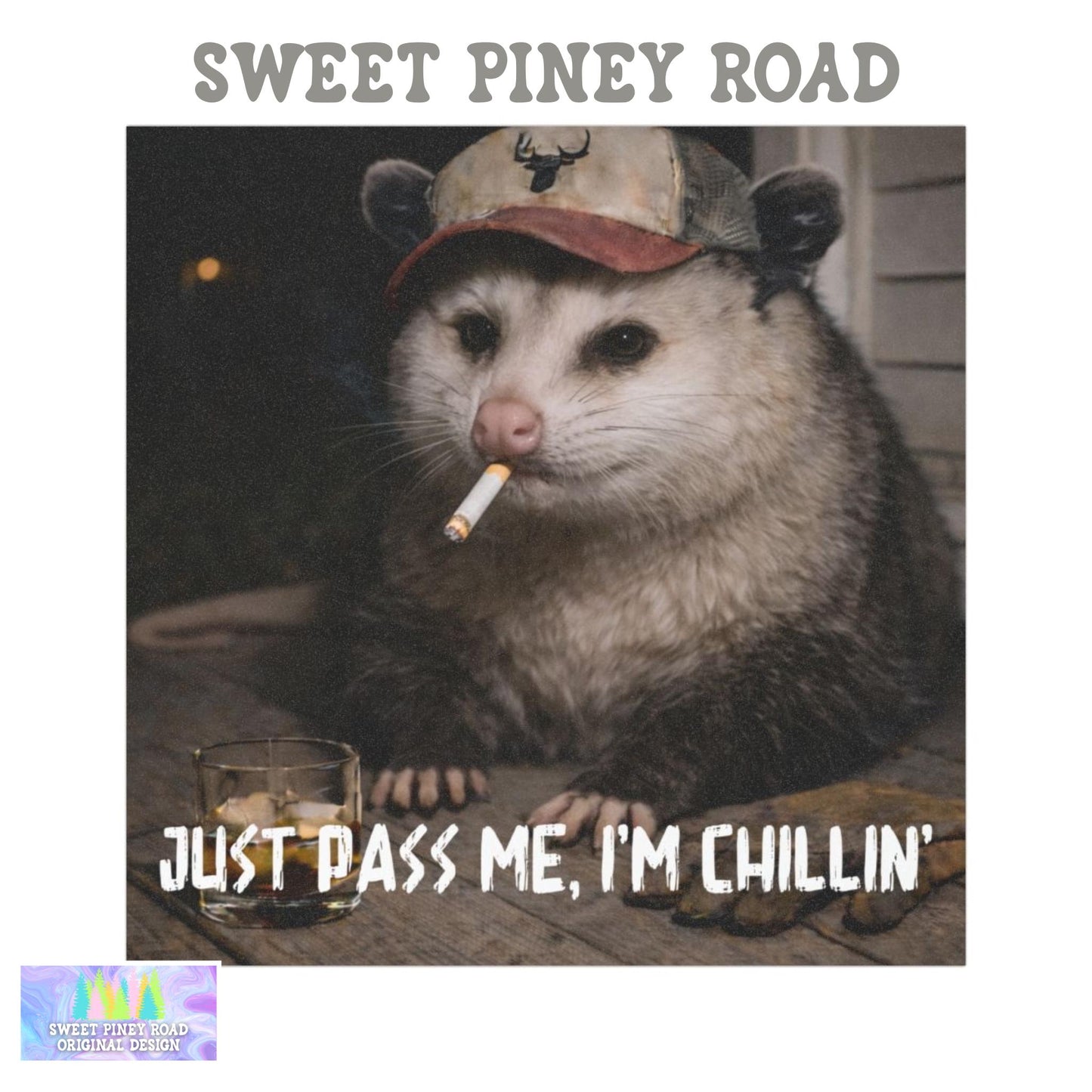 Funny Possum Car Magnet, Hilarious Smoking Country Themed Opossum, Outdoor Waterproof Animal Lover Gag Gift, Just Pass Me Already Im Chillin