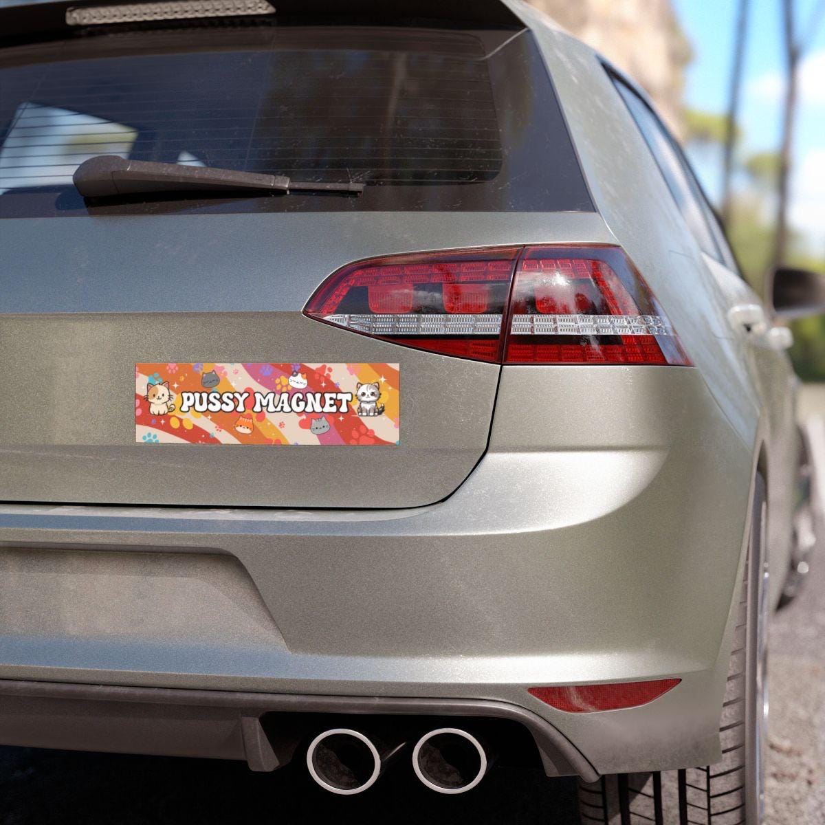 Pussy Magnet Car Magnet or Bumper Sticker, Cat Lover Gag Gift Friend, Animal Lover Kitty Dad Mom, Gen Z Meme Humor, Paw Prints Retro Vibes
