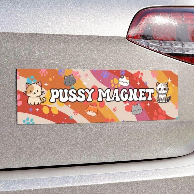 Pussy Magnet Car Magnet or Bumper Sticker, Cat Lover Gag Gift Friend, Animal Lover Kitty Dad Mom, Gen Z Meme Humor, Paw Prints Retro Vibes