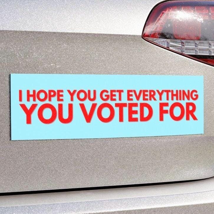 I Hope You Get Everything You Voted for Car Magnet Or Bumper Sticker, Anti Trump, Anti MAGA, You Get What You Vote For, Fafo Deocratic LGBTQ