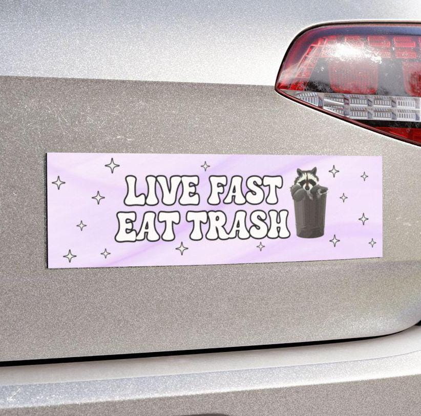 Live Fast Eat Trash Funny Raccoon Car Magnet or Bumper Sticker, Sarcastic Meme Decal for Hydroflask Water Bottle, Cute Feral Animal