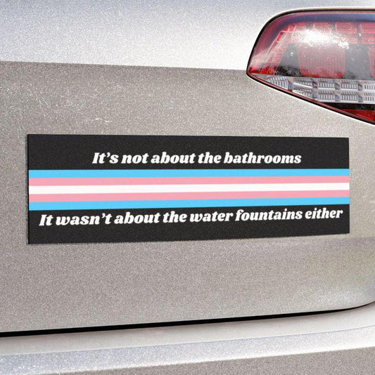 Bathrooms Water Fountain Car Magnet or Bumper Sticker, Support Trans Kids, Equality Hurts No One, Pro Democracy, Coexist Defend Decal, LGBTQ