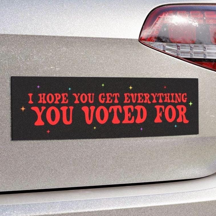I Hope You Get Everything You Voted for Car Magnet Or Bumper Sticker, Anti Trump, Anti MAGA, You Get What You Vote For, Fafo Deocratic LGBTQ