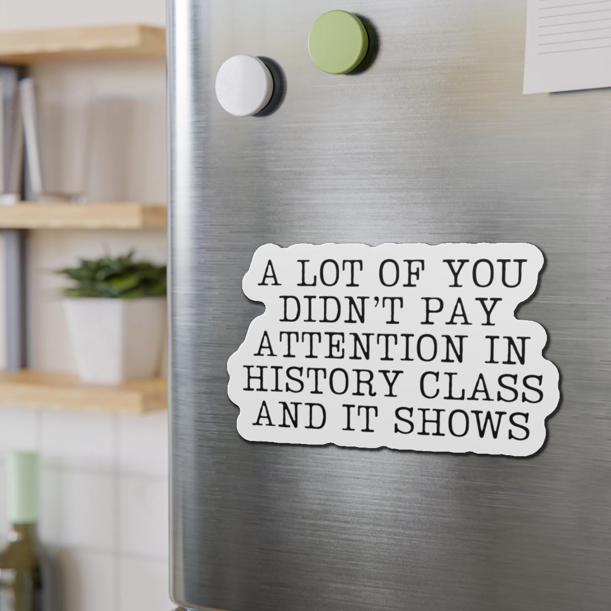 Didn't Pay Attention In History Class Car Magnet, Anti MAGA Trump, Progressive Liberal Feminist, Political Leftist Decal, Pro-Democracy