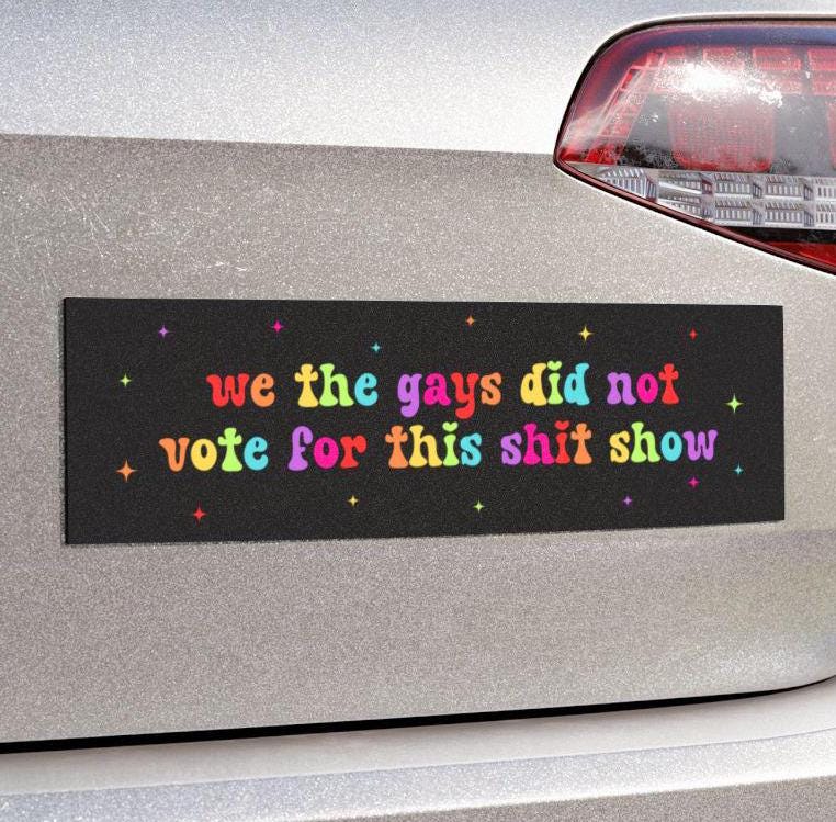 We The Gays Did Not Vote For This Shit Show Car Magnet or Bumper Sticker, LGBTQ+, Liberal Activist, Anti Christian MAGA Trump Fascism, FAFO