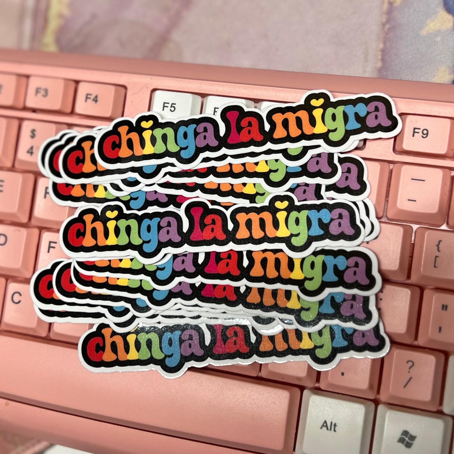 Chinga La Migra 10/20 pc 4"x.8"in. Glossy Sticker Pack | Rainbow Immigration Rights - Political Satire Decal for Protest & Activism Fuck Ice
