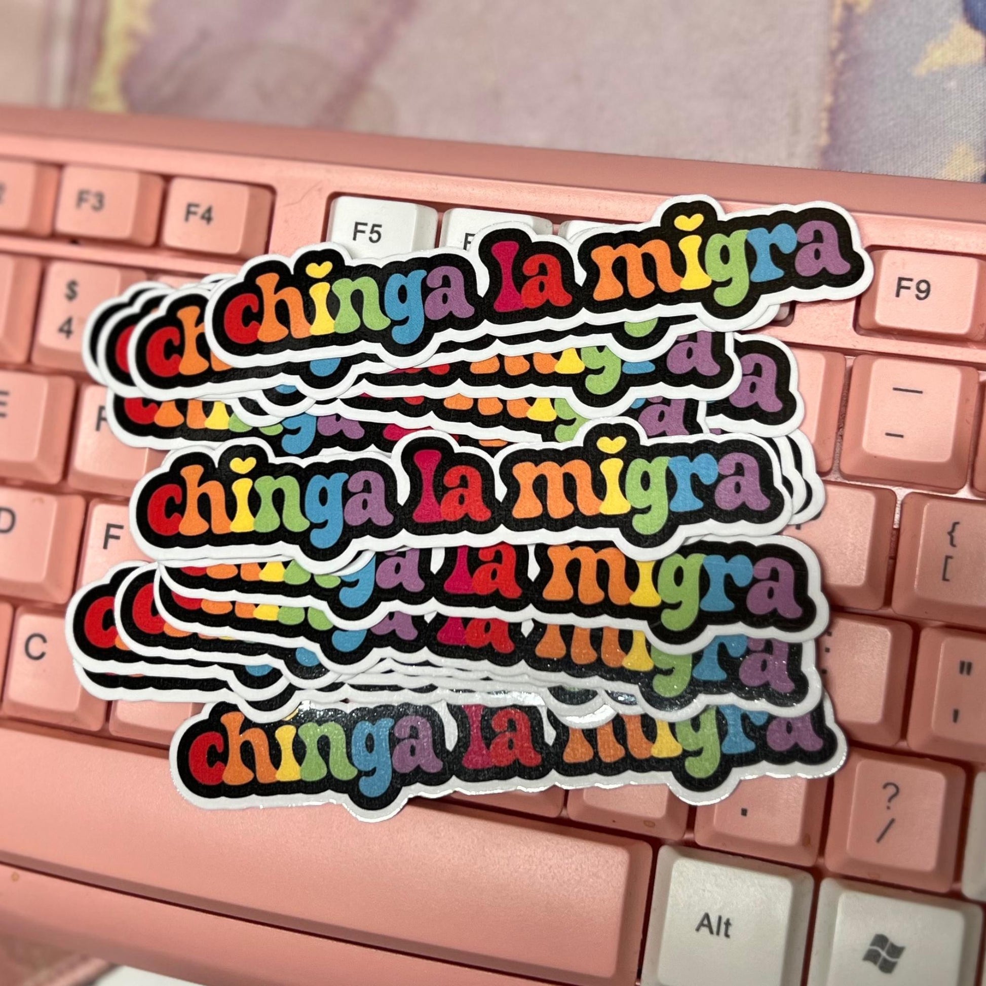 Chinga La Migra 10/20 pc 4"x.8"in. Glossy Sticker Pack | Rainbow Immigration Rights - Political Satire Decal for Protest & Activism Fuck Ice