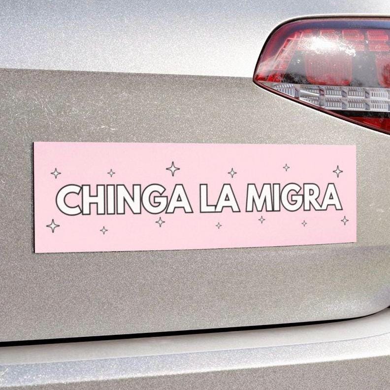 Chinga La Migra Car Magnet Or Bumper Sticker, Anti Trump Immigration Decal, Fuck Border Patrol Accessory, Deportation Pink Girly Y2K Sparkle