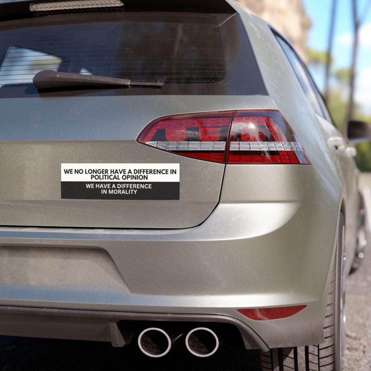 Political Opinion Car Magnet or Bumper Sticker, Human Rights Decal, Democratic Social Justice, Womans Rights, Fuck Trump, Anti-Fascist MAGA