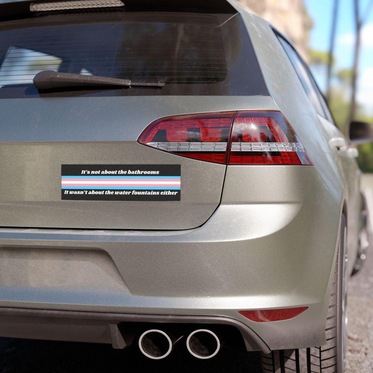Bathrooms Water Fountain Car Magnet or Bumper Sticker, Support Trans Kids, Equality Hurts No One, Pro Democracy, Coexist Defend Decal, LGBTQ