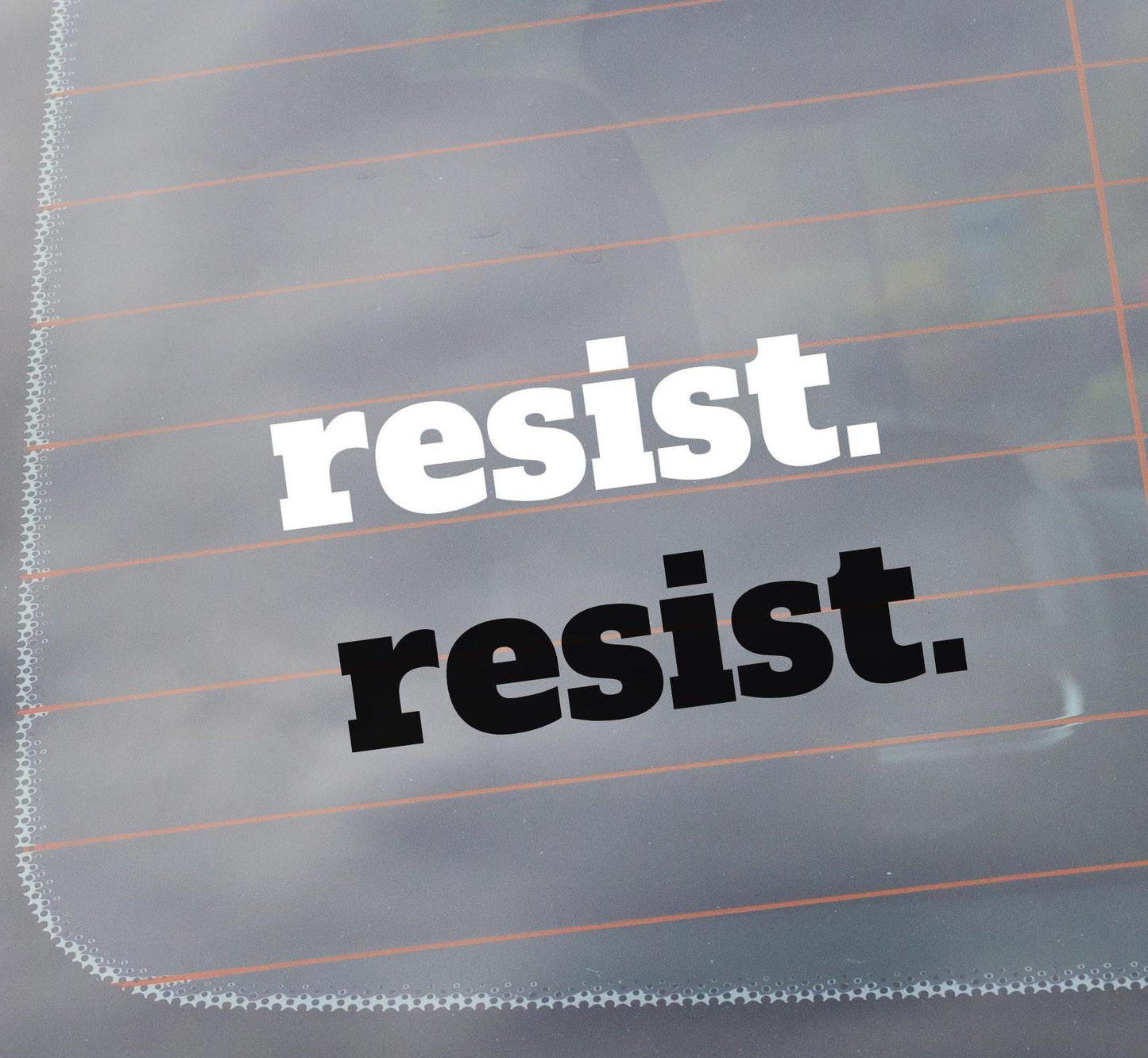 Resist Vinyl Window Decal, Cute Car Accessory Gift, Resist Racism Fascism MAGA, Anti Trump Sticker, Feminist Liberal Activist, Democrat Gift