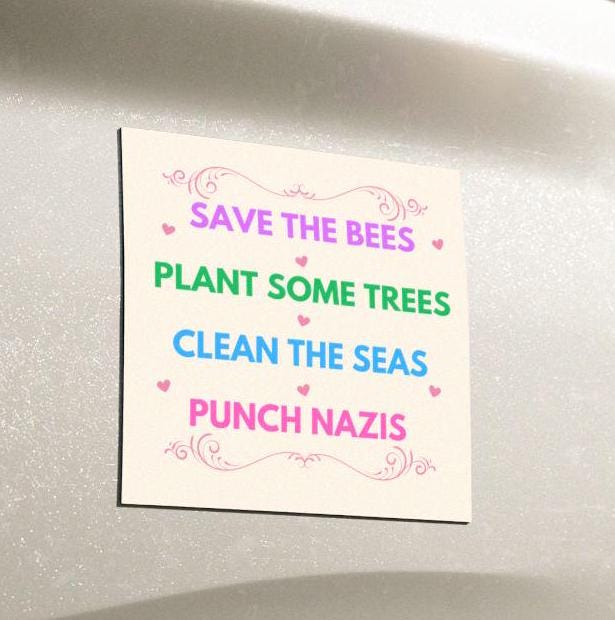 Save The Bees, Plant Some Trees, Clean The Seas, Punch Nazis Car Magnet, Activist Protest Decal, Anti Fascism, I Did That Anti Trump MAGA
