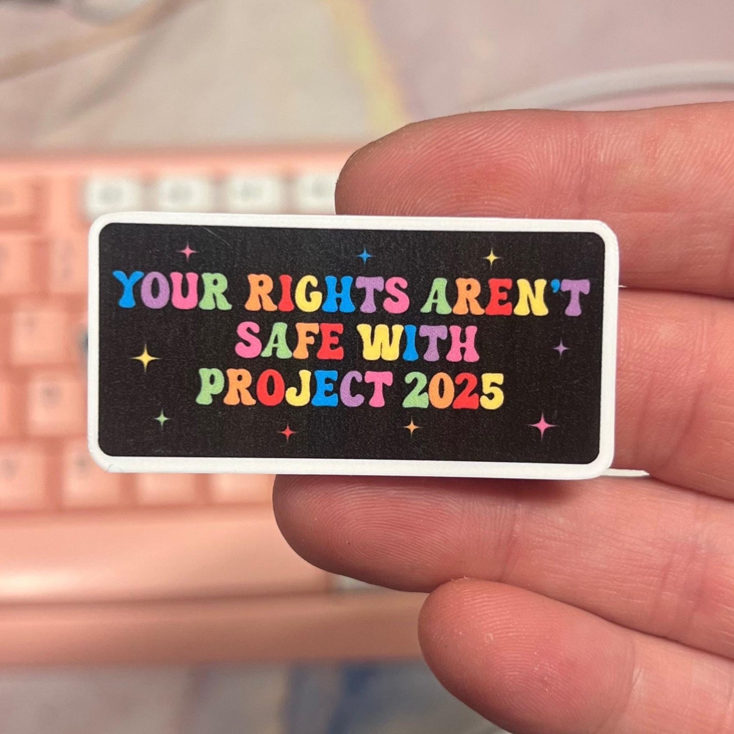 No Rights Project 2025 25/50pc Sticker Pack, 2 Inch Glossy Decal, We Did That, Anti Trump Stickers, Anti Fascist, Anti Racist LGBTQ+ FDT