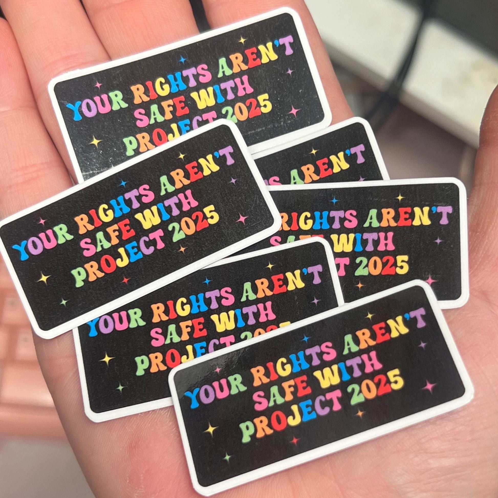 No Rights Project 2025 25/50pc Sticker Pack, 2 Inch Glossy Decal, We Did That, Anti Trump Stickers, Anti Fascist, Anti Racist LGBTQ+ FDT