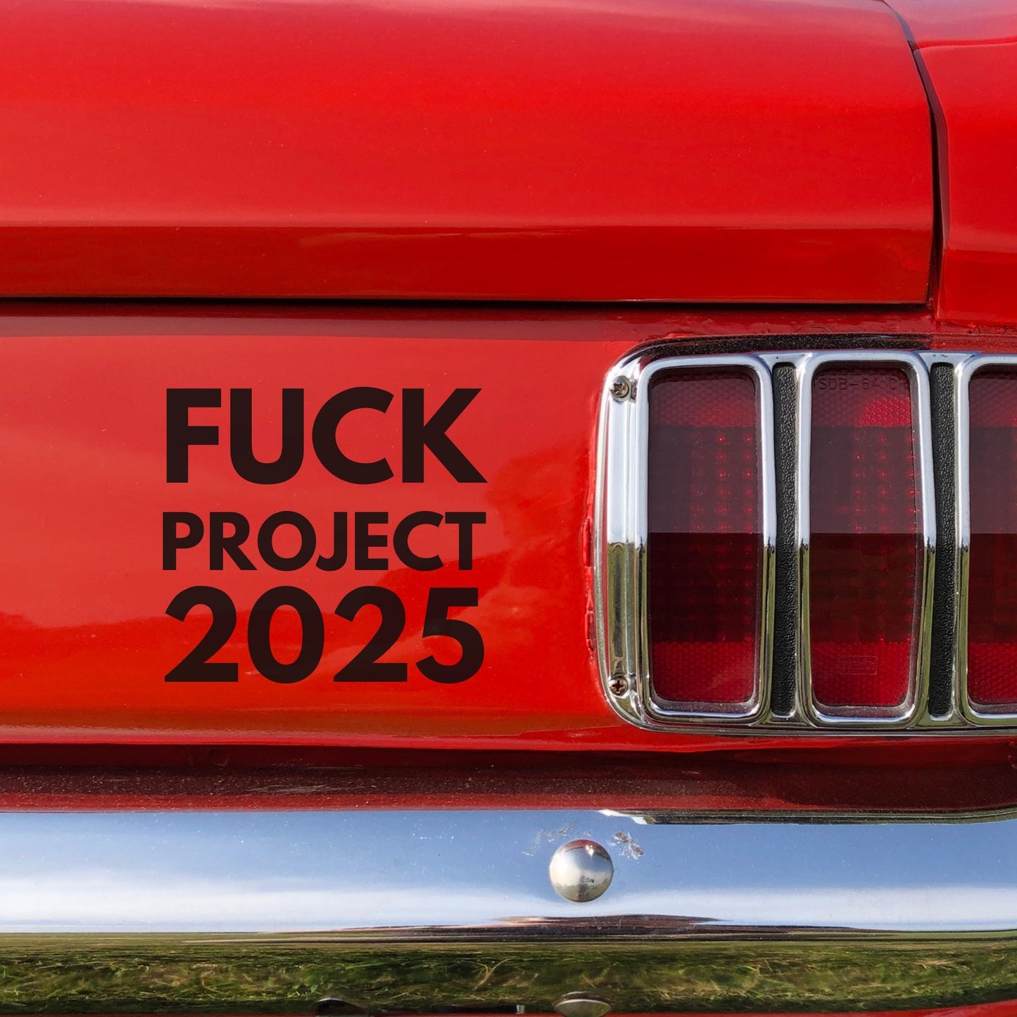 Fuck Project 2025 Vinyl Window Decal, Activist Car Decal, We Did That, Anti Trump Sticker, Anti Fascist, Anti Racist, Not My President Gift