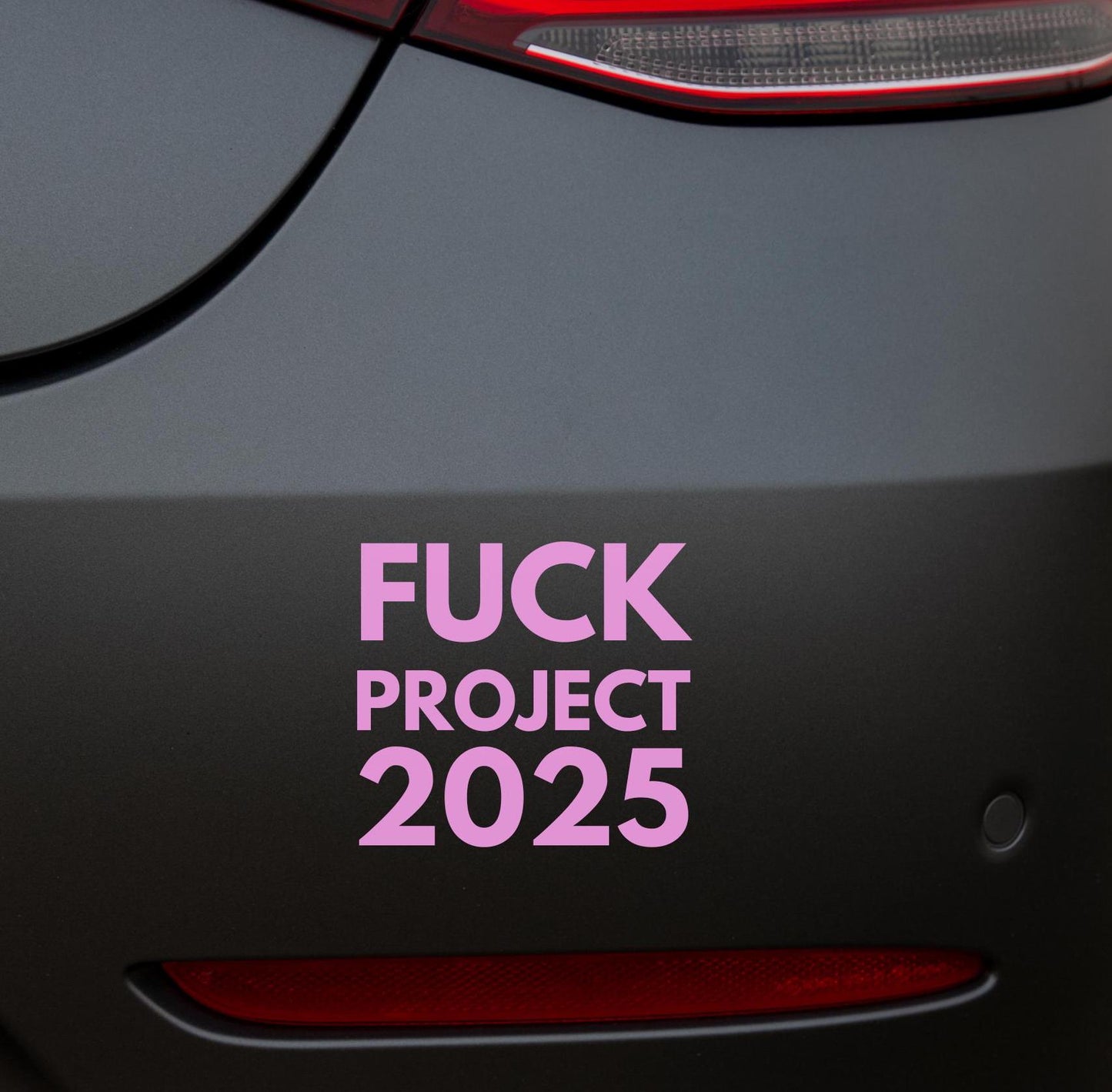 Fuck Project 2025 Vinyl Window Decal, Activist Car Decal, We Did That, Anti Trump Sticker, Anti Fascist, Anti Racist, Not My President Gift