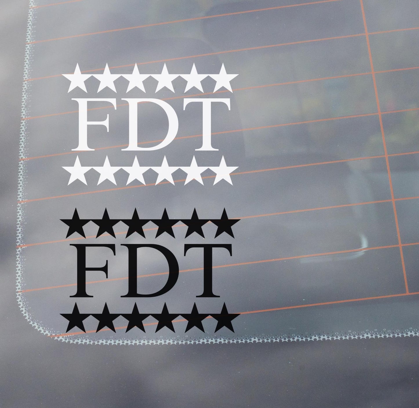 FDT Vinyl Window Decal, Resist Fascism, Anti Trump Anti-Maga Car Cling Foxtrot Delta Tango American Stars Sticker Laptop Decal Activist Gift