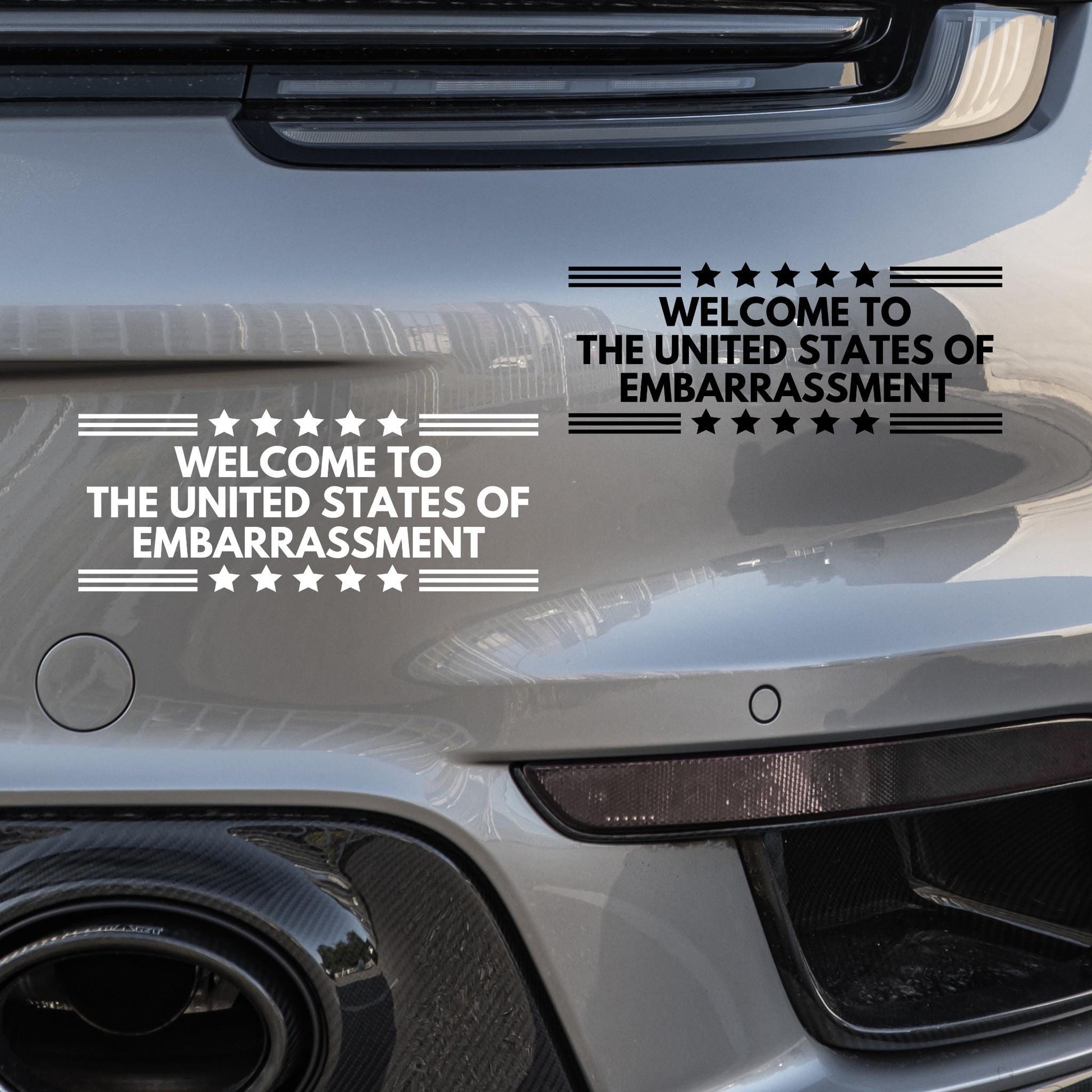 United States of Embarrassment Vinyl Window Decal, Anti MAGA, Funny Vehicle Sticker, Progressive Liberal Fuck Trump Political Gag Gift, FDT