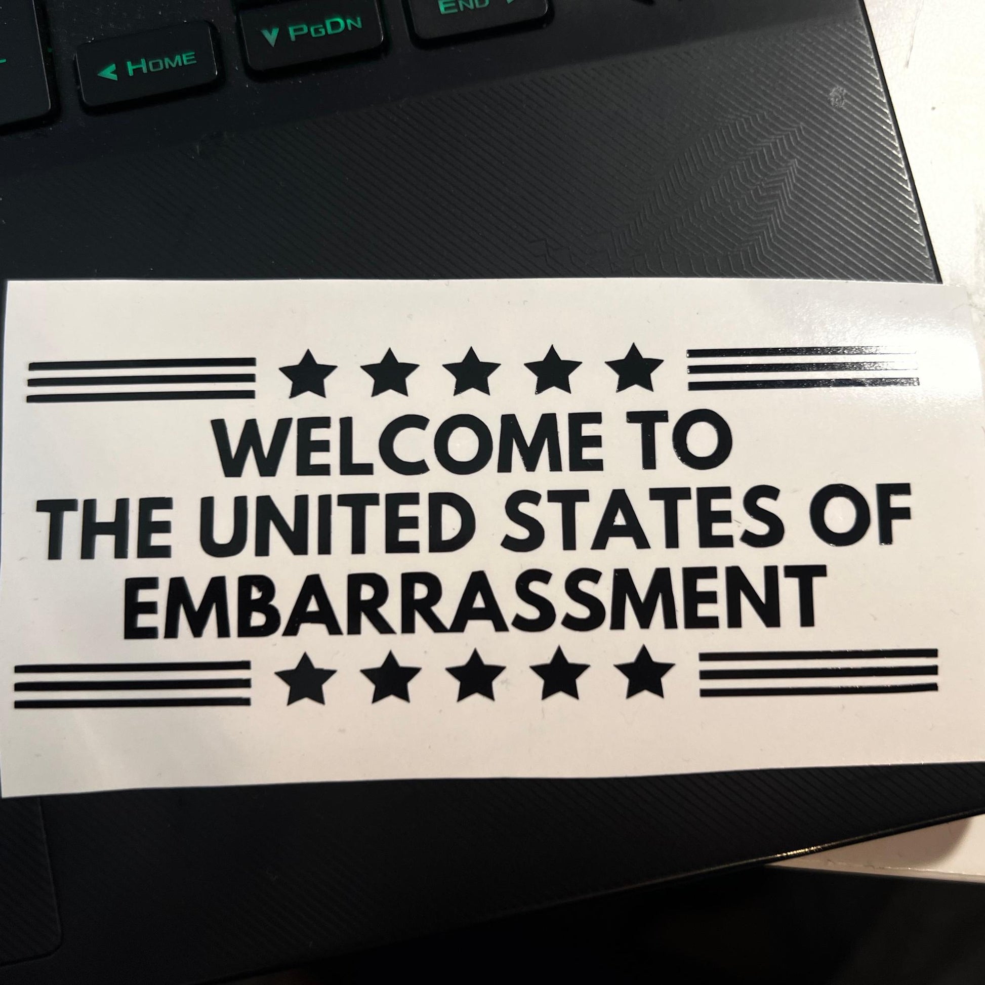 United States of Embarrassment Vinyl Window Decal, Anti MAGA, Funny Vehicle Sticker, Progressive Liberal Fuck Trump Political Gag Gift, FDT