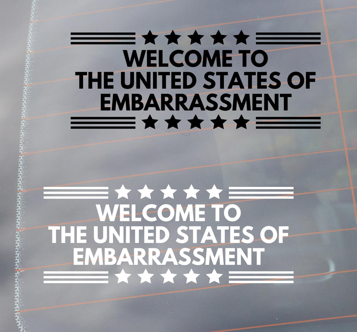 United States of Embarrassment Vinyl Window Decal, Anti MAGA, Funny Vehicle Sticker, Progressive Liberal Fuck Trump Political Gag Gift, FDT