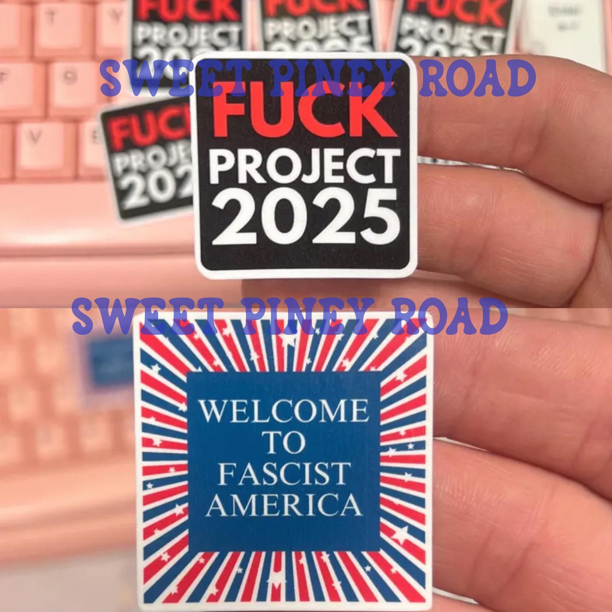 Mix and Match Anti Trump Political Sticker Pack Glossy 10, 25, 50, 100pc Hilarious Anti MAGA Stickers, Protest Resist, Hands Off Funny Gift