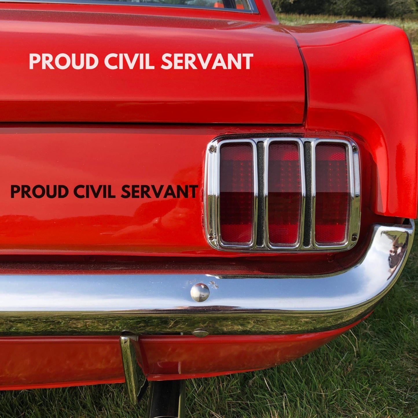 Proud Civil Servant Vinyl Window Decal, Protest Resist Anti-Trump Support Federal Employees Sticker, Hold The Line, Not My President FDT Car