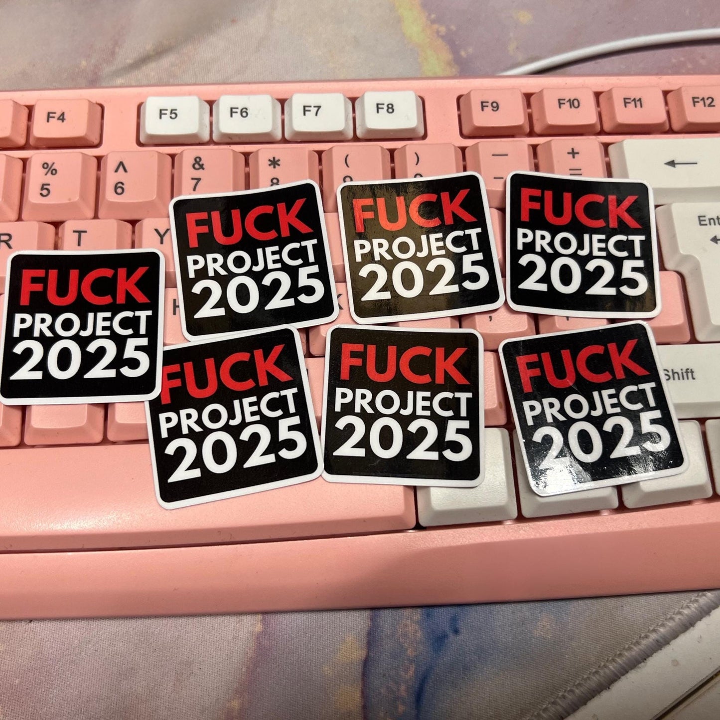 Fuck Project 2025 25/50pc Sticker Pack, 1.5 Inch Glossy Decal, We Did That, Anti Trump Stickers, Anti Fascist, Anti Racist Sticker Pack, FDT
