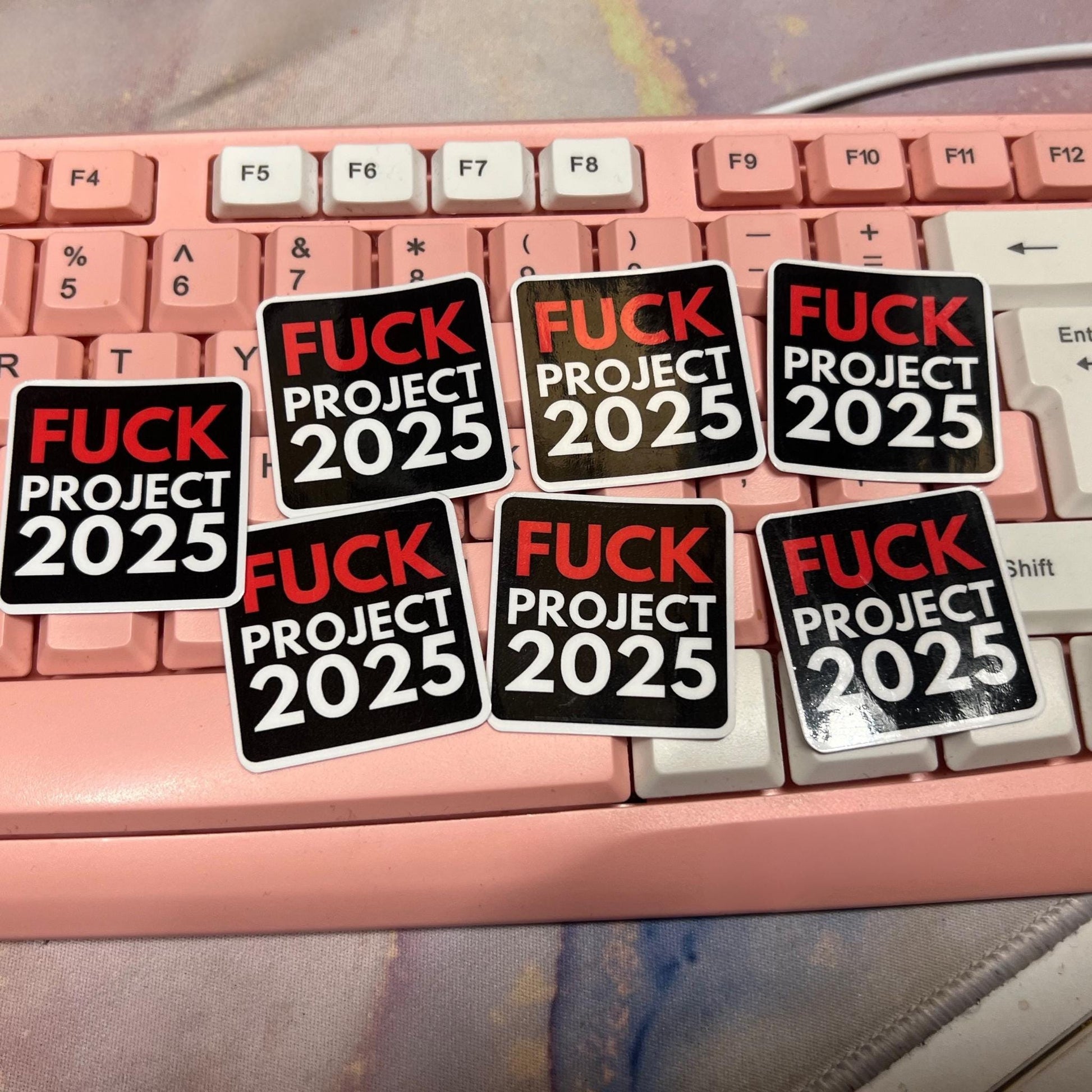 Fuck Project 2025 25/50pc Sticker Pack, 1.5 Inch Glossy Decal, We Did That, Anti Trump Stickers, Anti Fascist, Anti Racist Sticker Pack, FDT