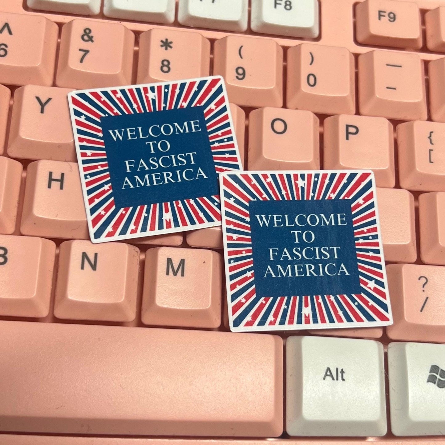 Welcome To Fascist America 25/50pc Sticker Pack, 1.5 Inch Glossy Decal, We Did That, Anti Trump Stickers, Anti Racist Fascism Sticker Pack