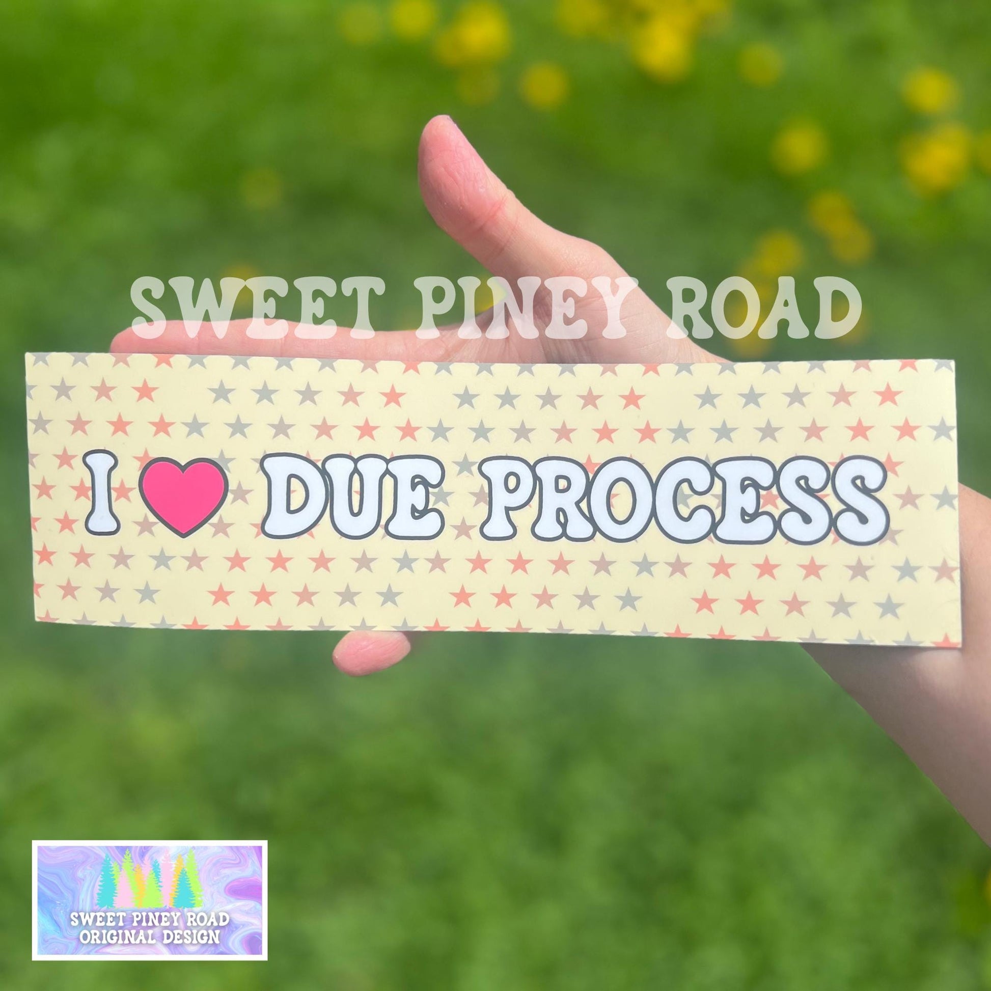 I Love Due Process Bumper Sticker/Car Magnet, ACAB Abolish ICE, Pro Immigrants Decal, Deport Fascists, Anti Trump Protest Gift, Resist FDT