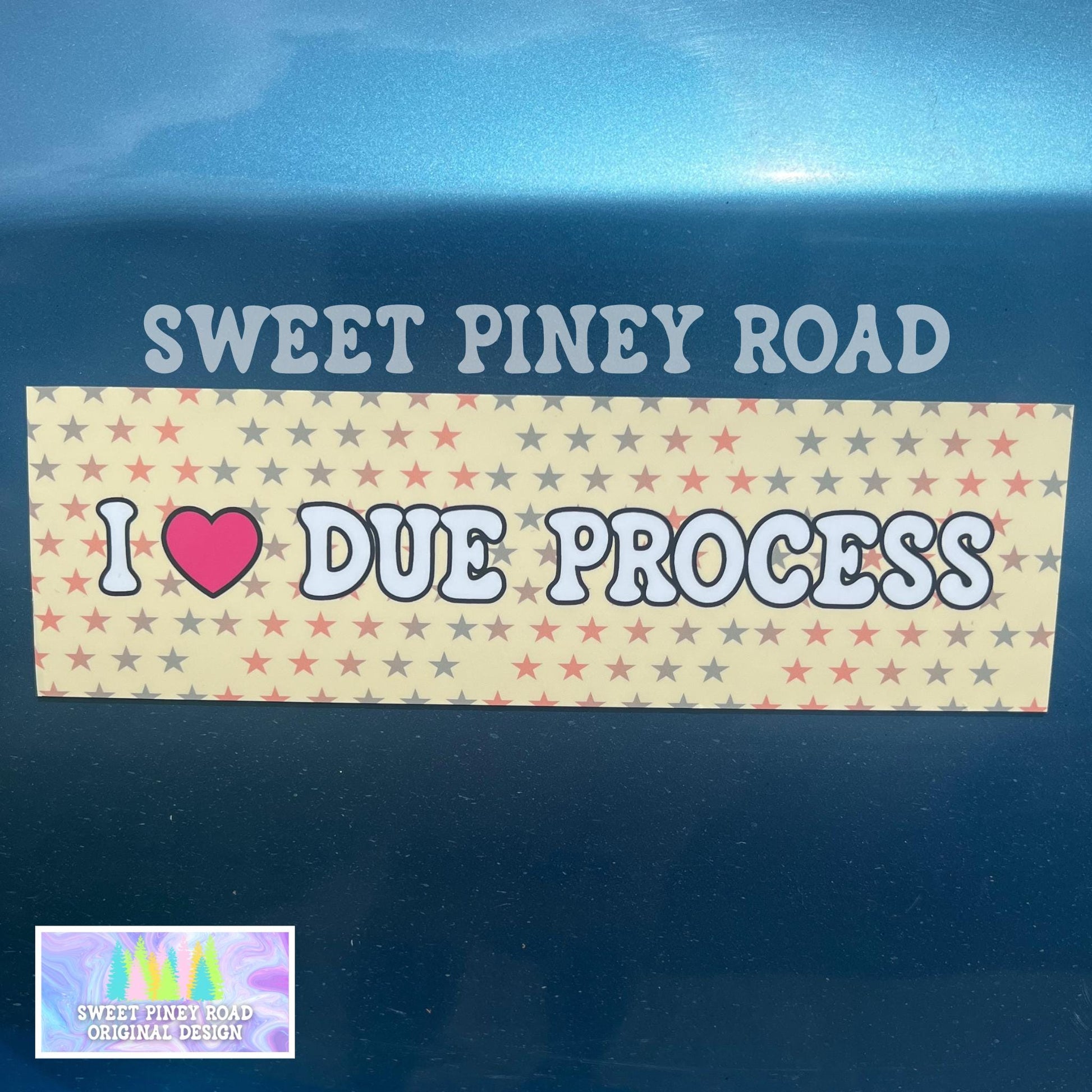 I Love Due Process Bumper Sticker/Car Magnet, ACAB Abolish ICE, Pro Immigrants Decal, Deport Fascists, Anti Trump Protest Gift, Resist FDT