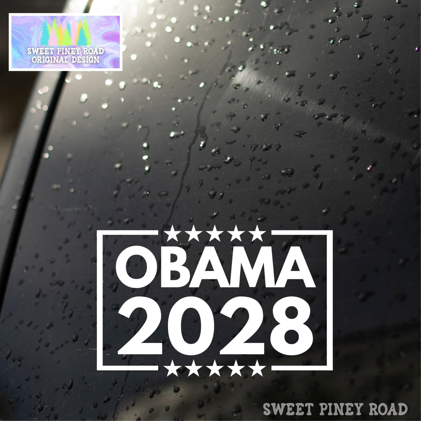 Obama 2028 Vinyl Window Decal, Anti Trump Sticker, Leftist Protest Car Gift, Democrat Progressive Stickers, Activism Resistance, Subtle FDT