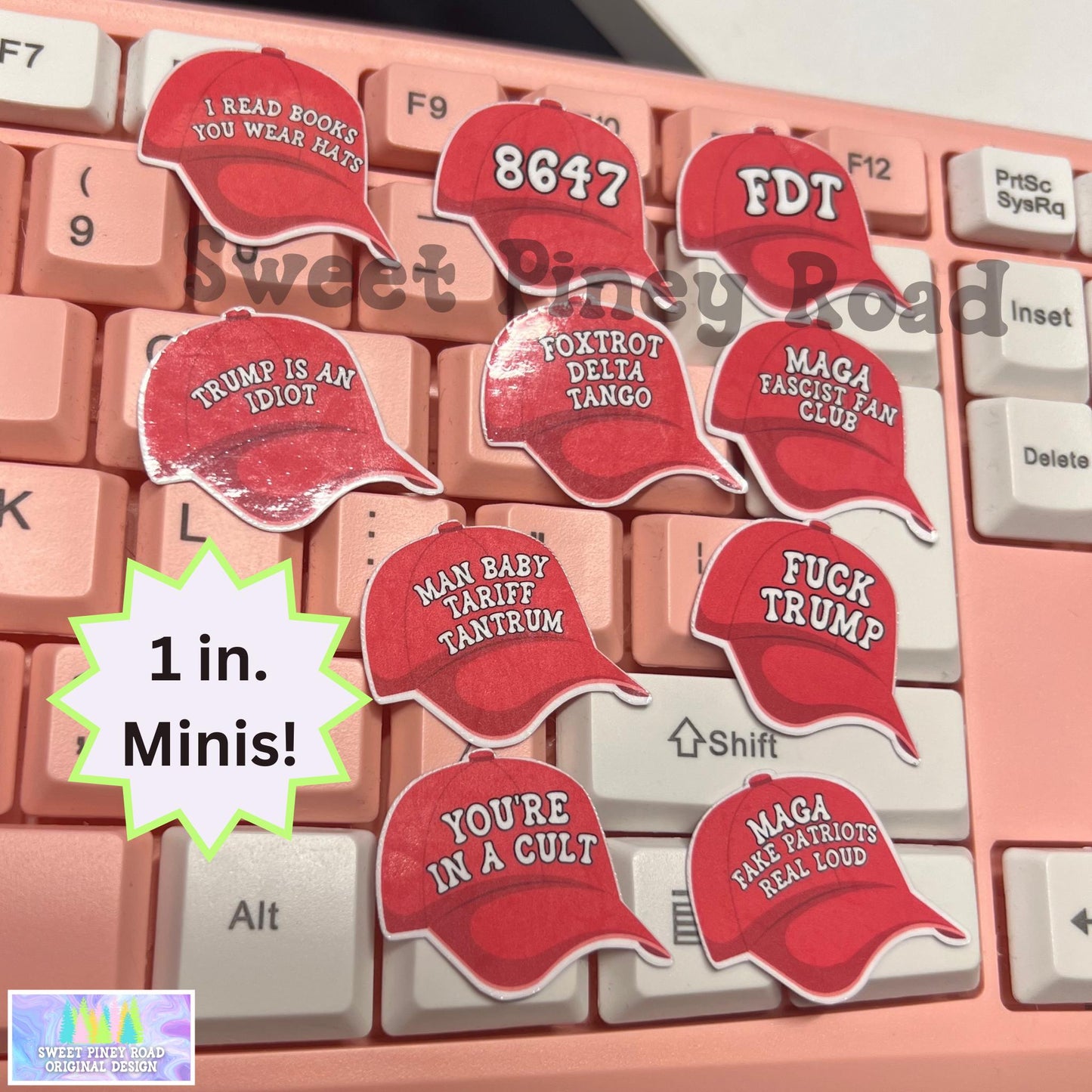 100pc Anti Trump Mini Variety Sticker Pack, Glossy Hilarious Anti Trump/Maga Hat, Fascist Nazi, You're In A Cult Stickers, Protest FDT Gift