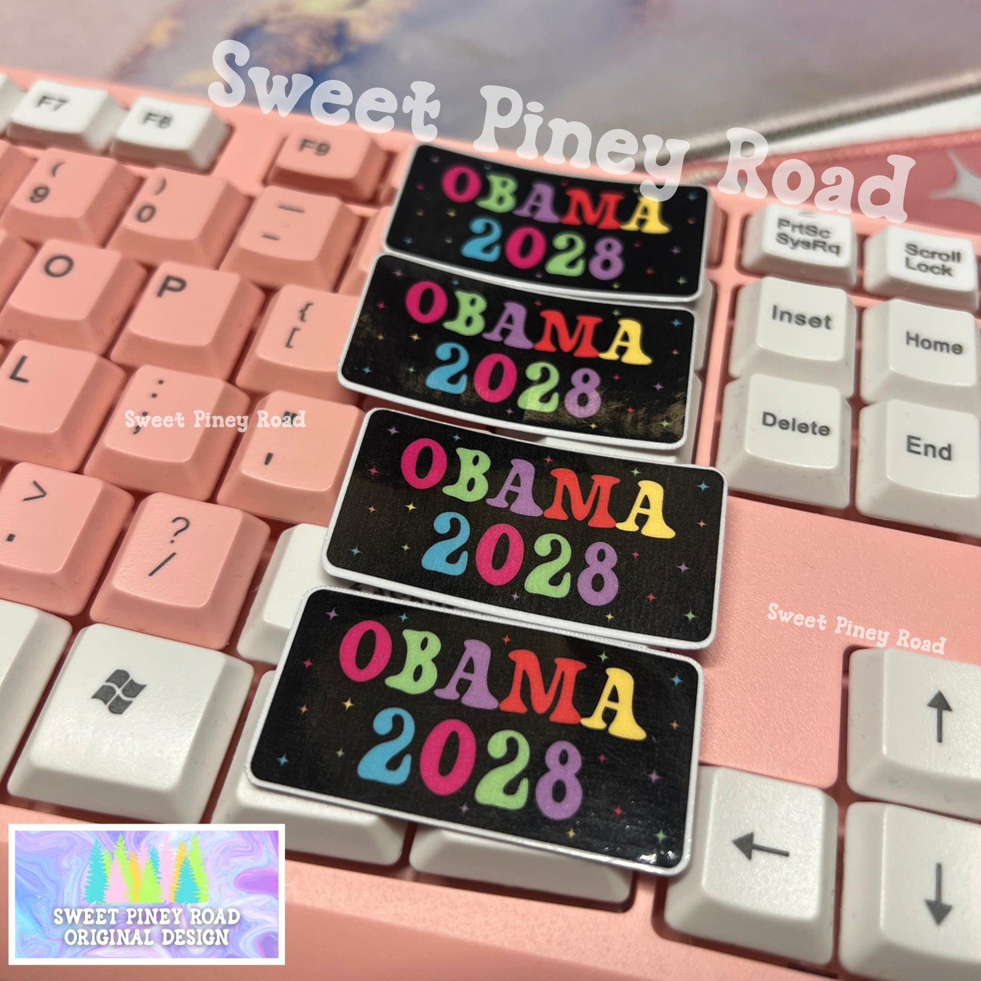 Obama 2028 Rainbow Sticker Pack, Anti Trump Sticker, Leftist Protest Gift, Democrat Progressive Stickers, Cute Activism Resist Subtle FDT