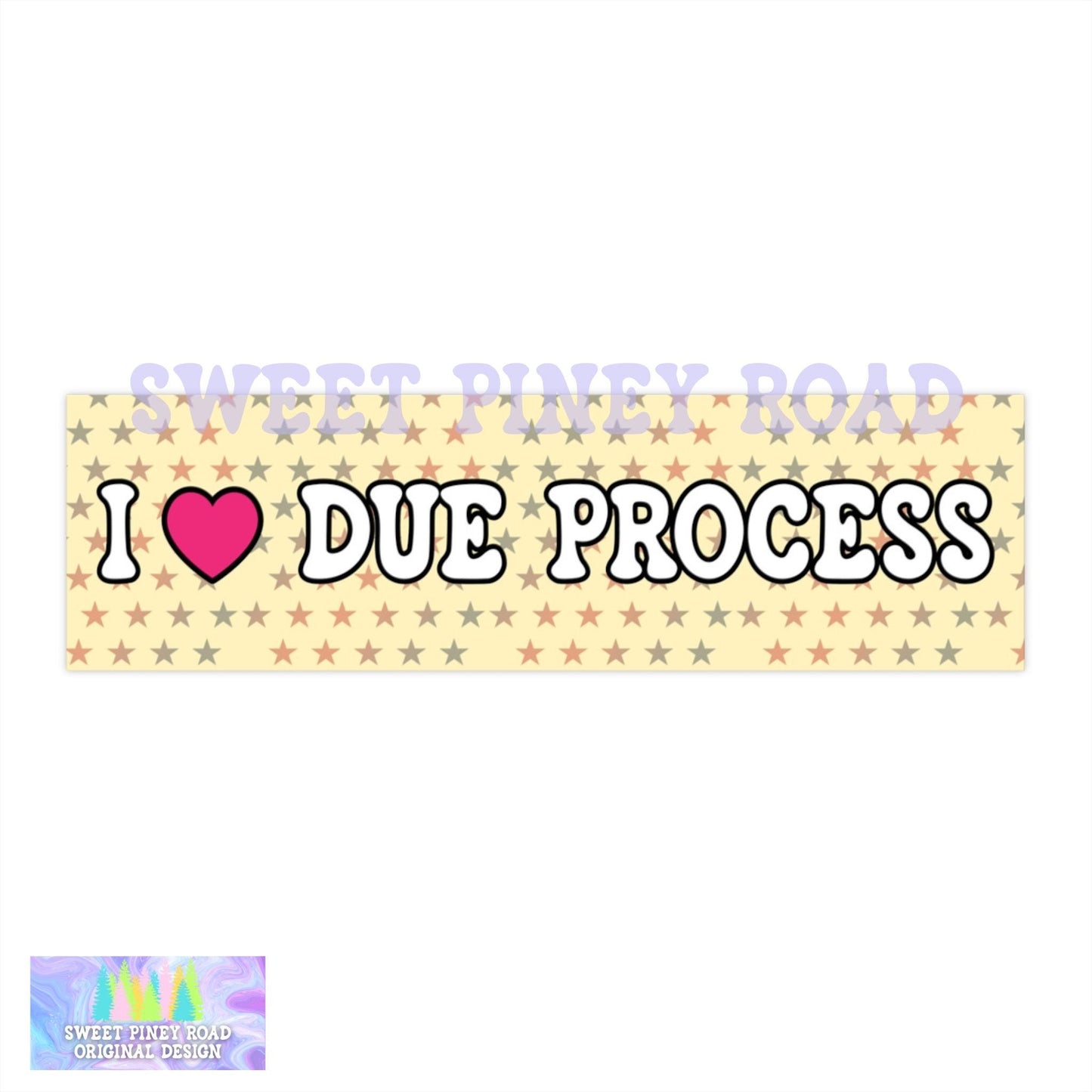 I Love Due Process Bumper Sticker/Car Magnet, ACAB Abolish ICE, Pro Immigrants Decal, Deport Fascists, Anti Trump Protest Gift, Resist FDT