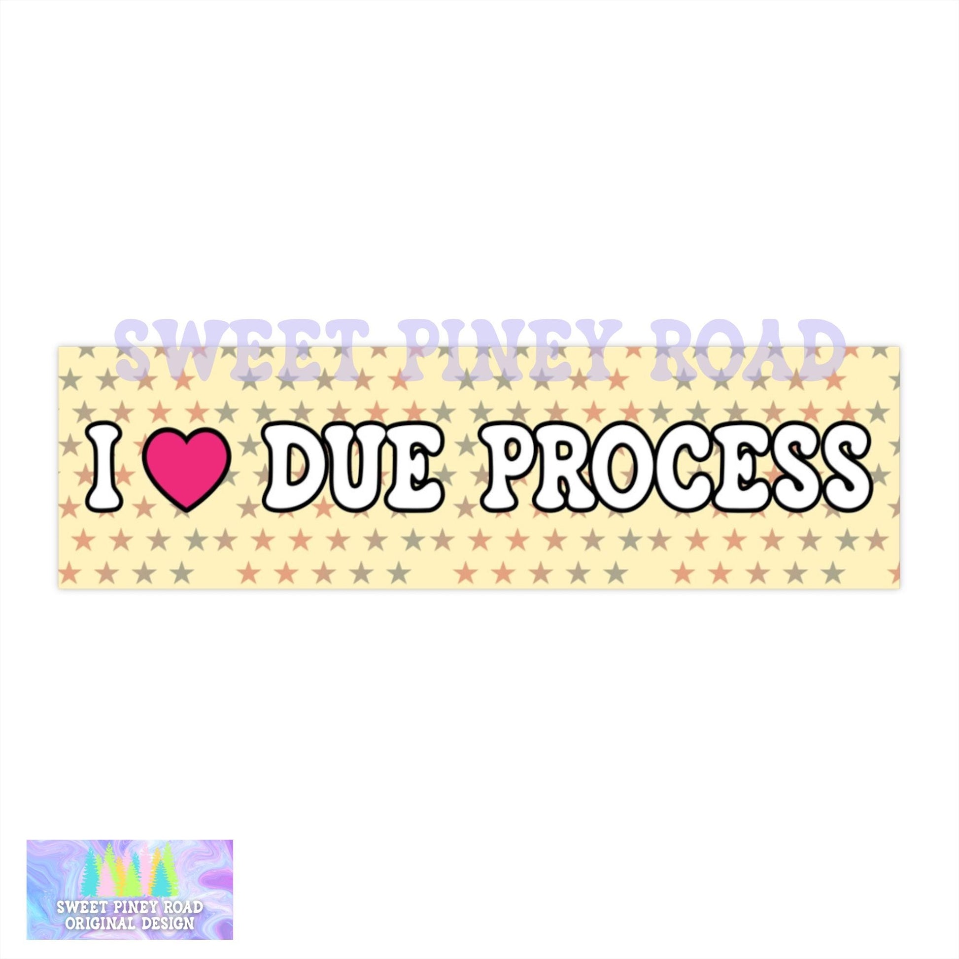 I Love Due Process Bumper Sticker/Car Magnet, ACAB Abolish ICE, Pro Immigrants Decal, Deport Fascists, Anti Trump Protest Gift, Resist FDT