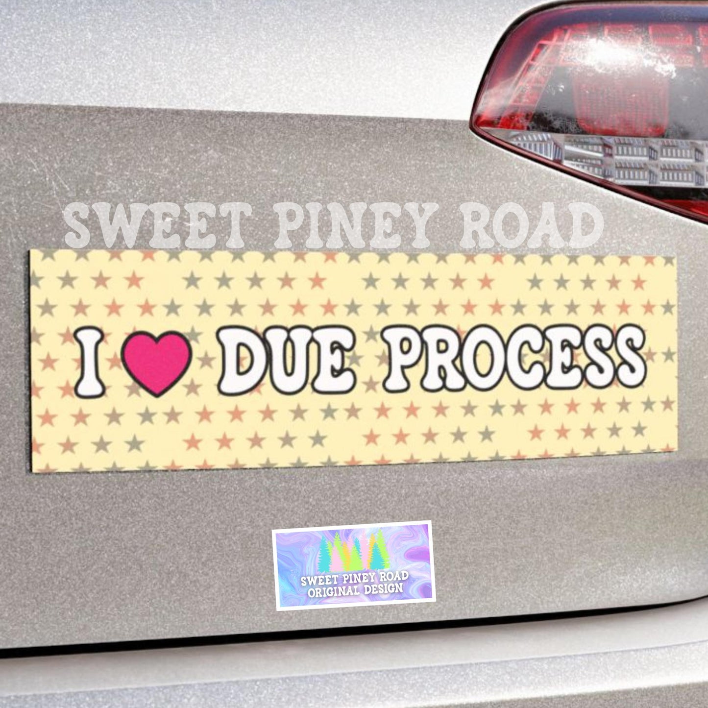 I Love Due Process Bumper Sticker/Car Magnet, ACAB Abolish ICE, Pro Immigrants Decal, Deport Fascists, Anti Trump Protest Gift, Resist FDT