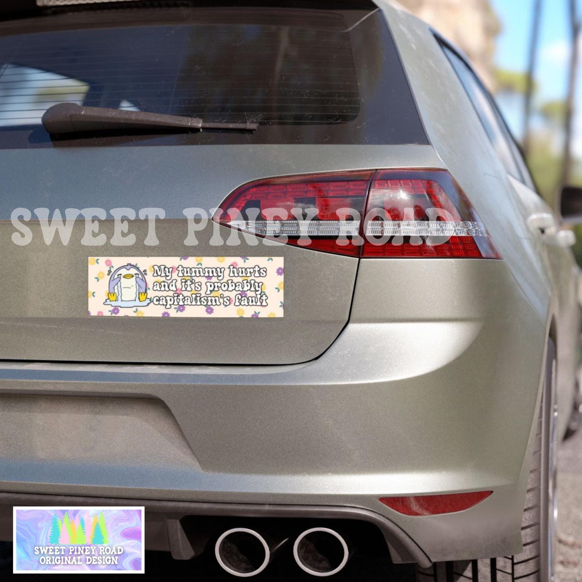 Tummy Hurts Capitalism's Fault Car Magnet, Anti Trump Bumper Sticker, Anti MAGA Humor, 8647 Resist Decal, Cute Girly Floral Feminism Gift