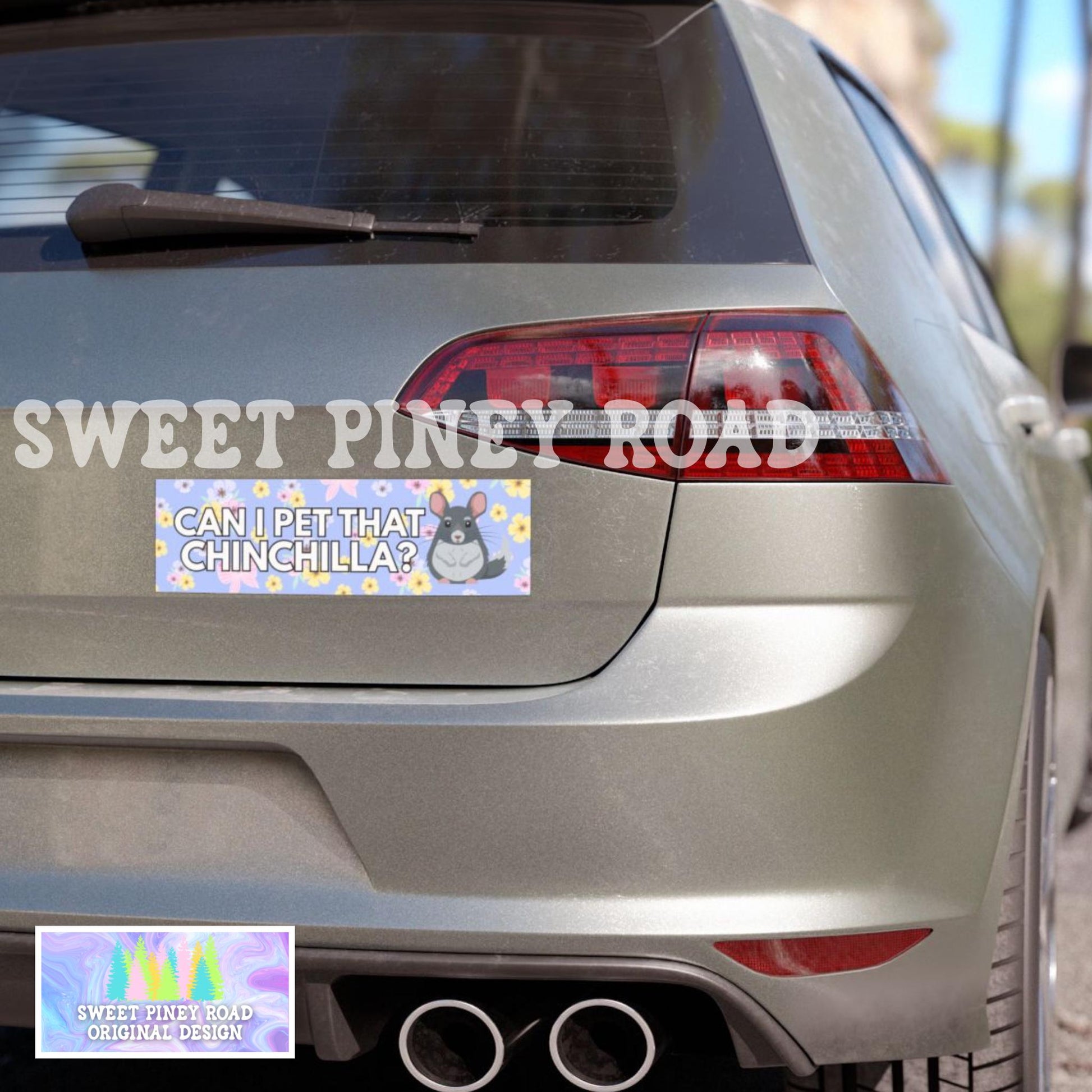 Can I Pet That Chinchilla? Car Magnet, Cute Critter Bumper Sticker, Chinchilla Lover Gift for Friend, Love Animals Decal, Zoo Animals Decal