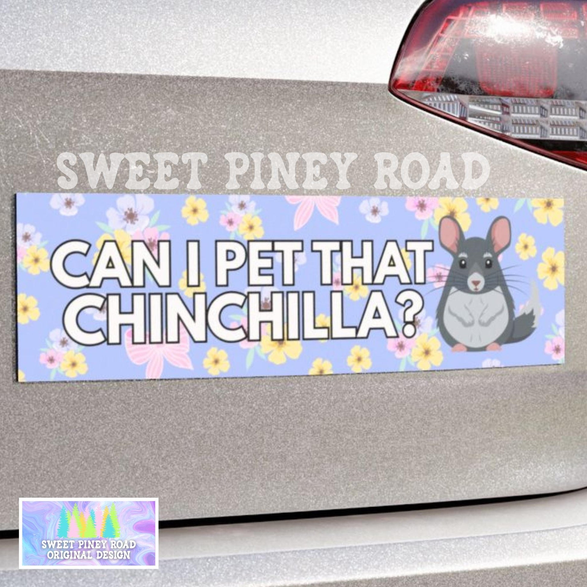 Can I Pet That Chinchilla? Car Magnet, Cute Critter Bumper Sticker, Chinchilla Lover Gift for Friend, Love Animals Decal, Zoo Animals Decal