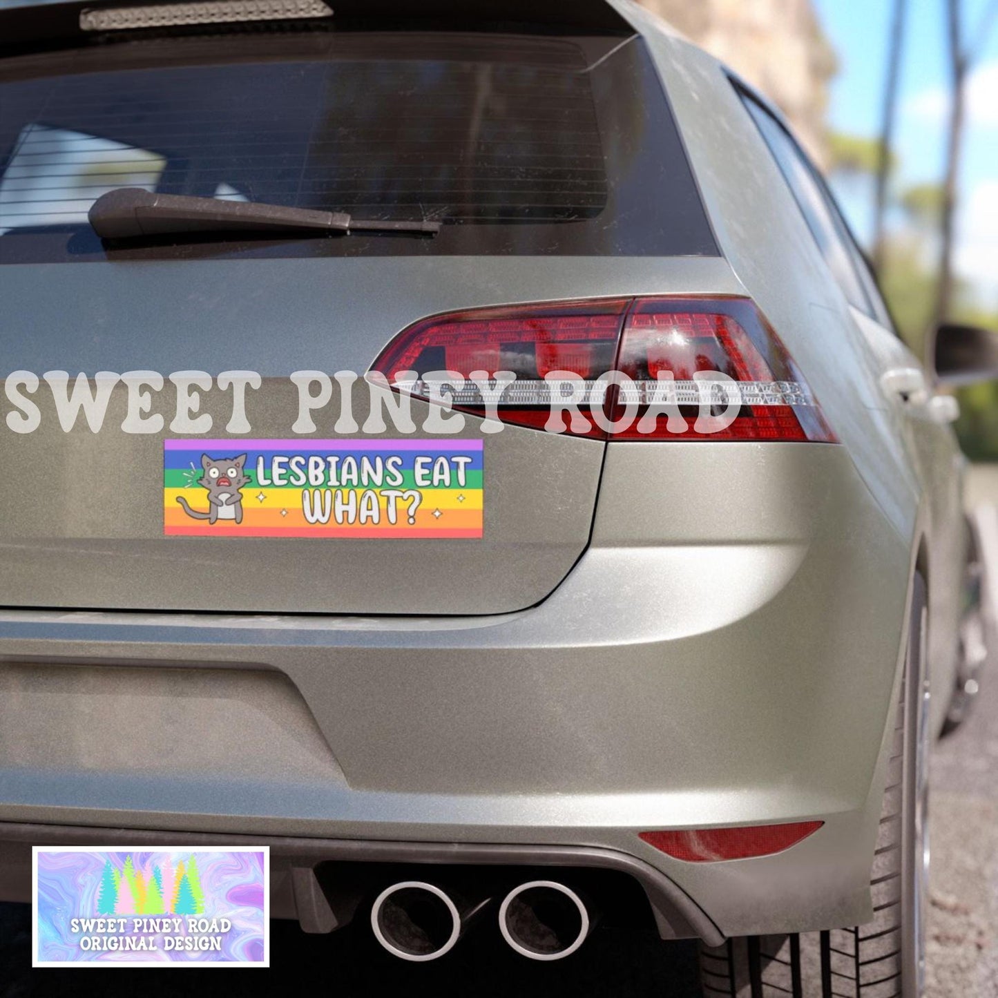 Lesbians Eat What Car Magnet, Funny LGBTQIA+ Bumper Sticker, Lesbian Pride Decal, Funny LGBT Joke Gift For Friend, Inclusive Rainbow Decal
