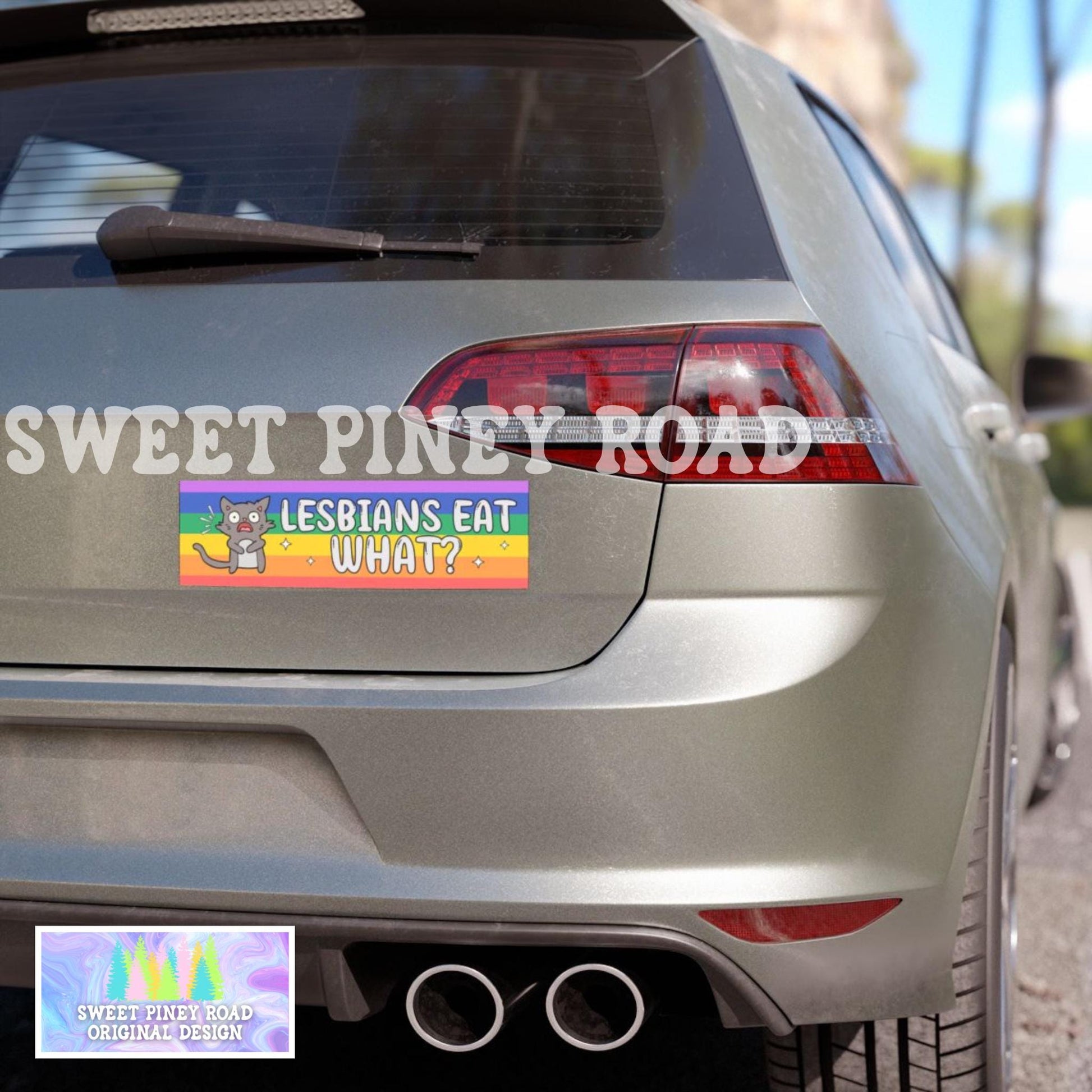 Lesbians Eat What Car Magnet, Funny LGBTQIA+ Bumper Sticker, Lesbian Pride Decal, Funny LGBT Joke Gift For Friend, Inclusive Rainbow Decal