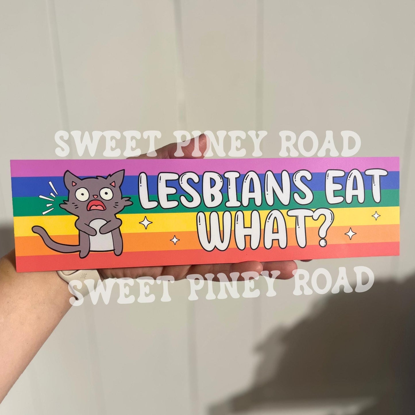 Lesbians Eat What Car Magnet, Funny LGBTQIA+ Bumper Sticker, Lesbian Pride Decal, Funny LGBT Joke Gift For Friend, Inclusive Rainbow Decal