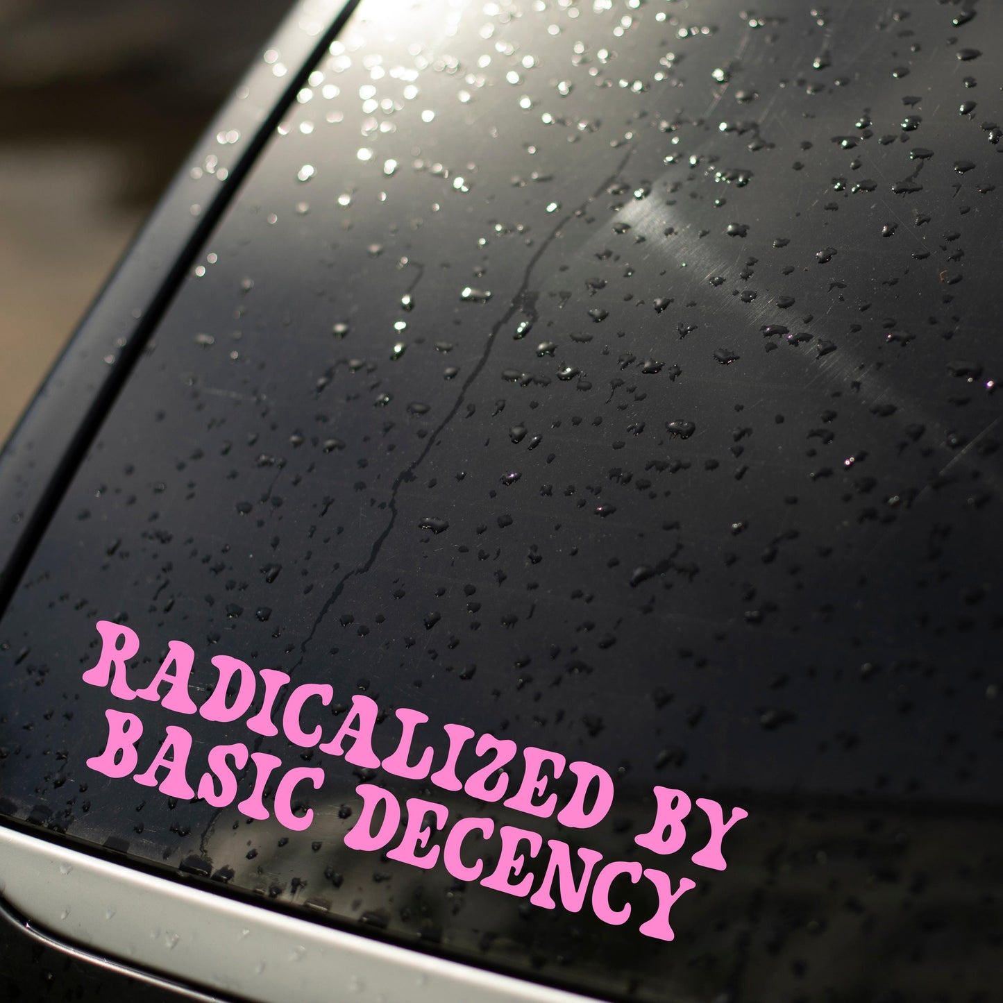 Radicalized by Basic Decency Vinyl Window Decal, Anti Trump Stickers, Eat The Rich Protest Sticker, Anti MAGA Gift, Compassion Leftist Cute