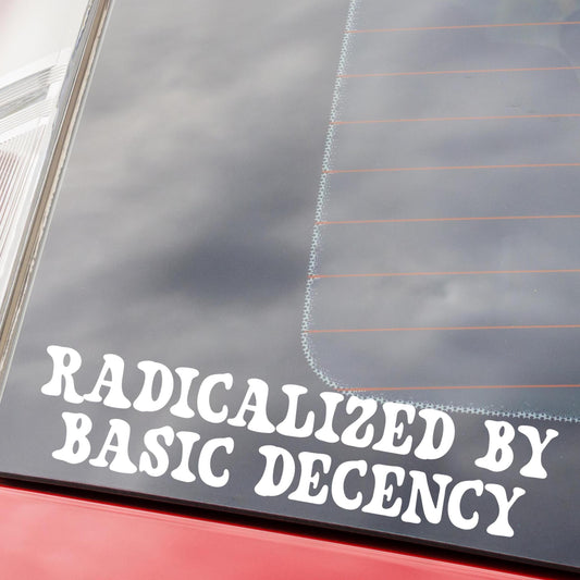 Radicalized by Basic Decency Vinyl Window Decal, Anti Trump Stickers, Eat The Rich Protest Sticker, Anti MAGA Gift, Compassion Leftist Cute